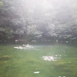 Au Jardin Saint-Pons-de-Thomieres