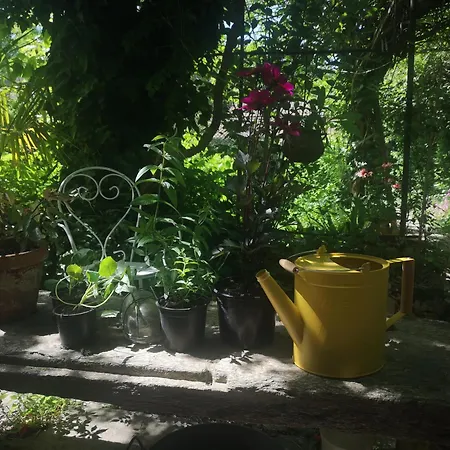 Lelieu Source, Au Jardin 4*