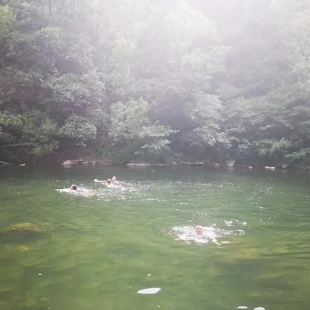 Lelieu Source, Au Jardin Saint-Pons-de-Thomieres