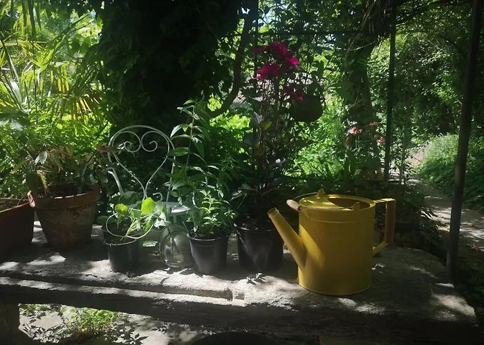 Au Jardin 4*